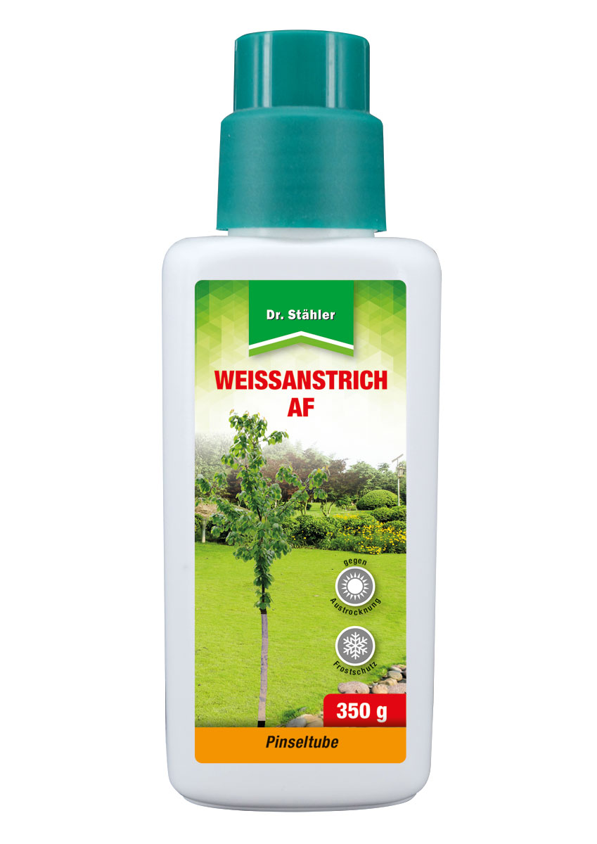 Dr. Stähler Weißanstrich AF 350 g 