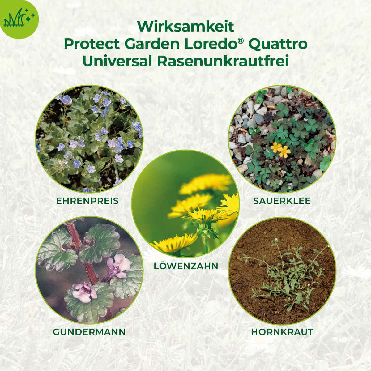 Protect Garden Loredo Quattro Universal-Rasenunkrautfrei für 100 m²