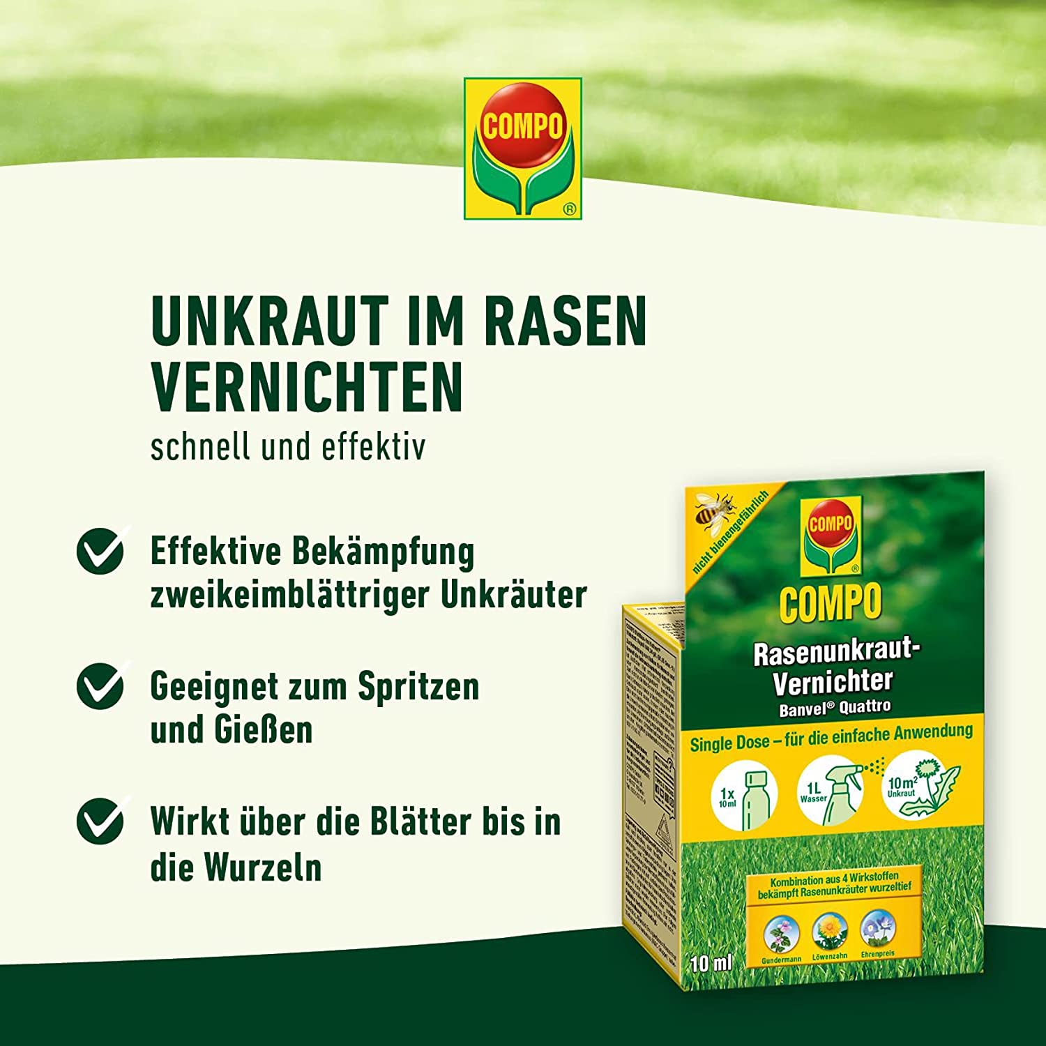 COMPO Rasenunkraut-Vernichter Banvel® Quattro 400 ml für 400 m² 