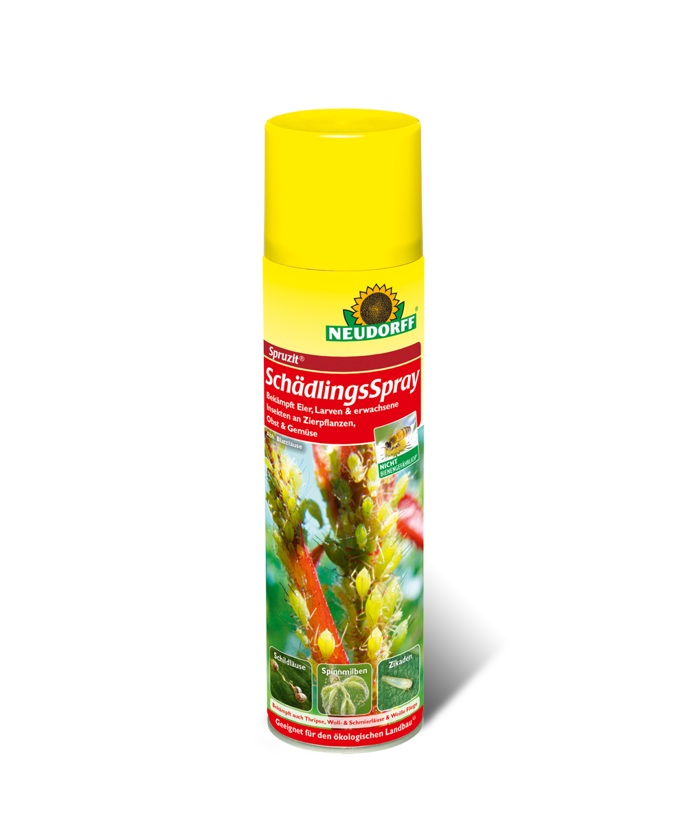 Neudorff Spruzit Schädlings Spray 400 ml Schildläuse, Spinnmilben, Zikaden