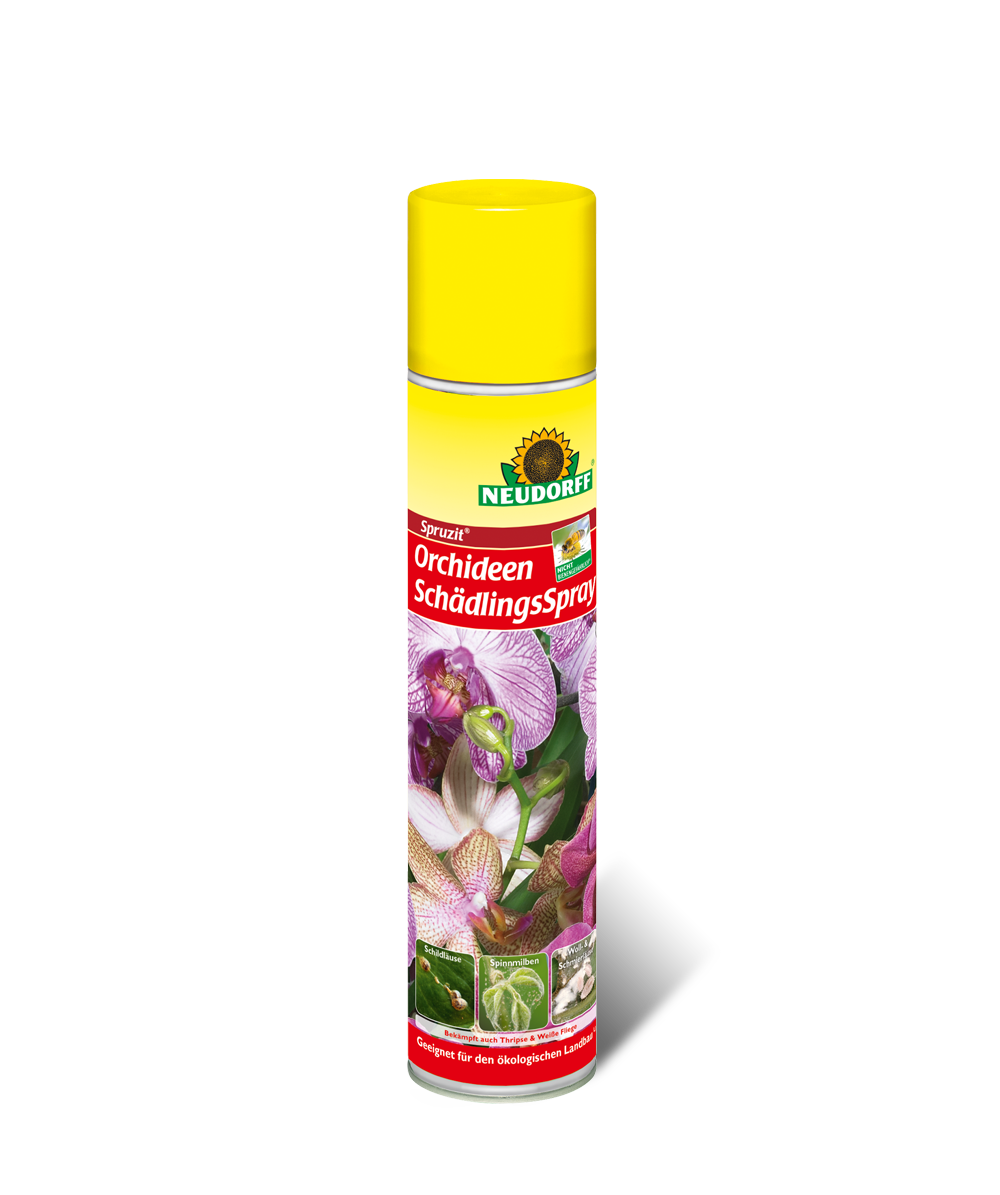 Neudorff Spruzit Orchideen Schädlings Spray 300 ml gegen Schädlinge an Orchideen