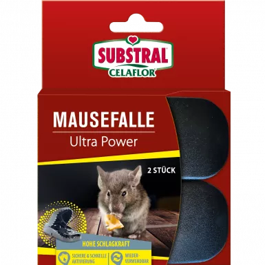 SUBSTRAL® Celaflor® Mausefalle Ultra Power 2 Stück