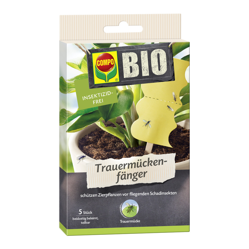 COMPO BIO Trauermückenfänger 5 Stk.