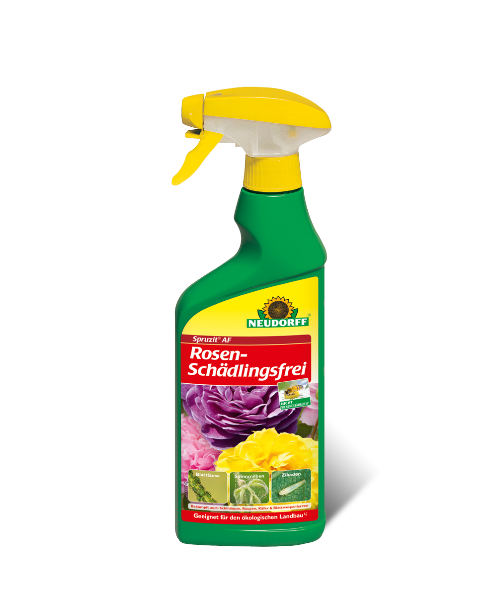 Neudorff Spruzit AF Rosen Schädlingsfrei 500 ml beißende und saugende Insekten