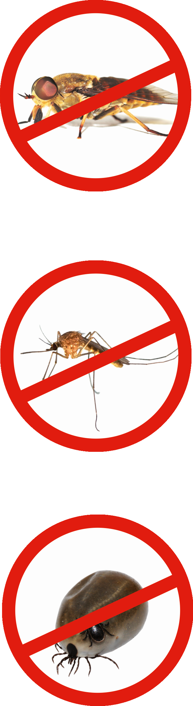Ballistol Stichfrei® Animal Mückenschutz 750 ml 